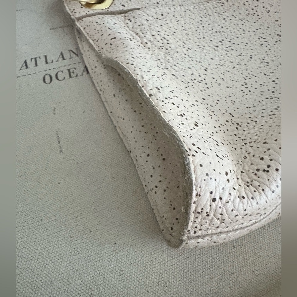 Hammitt Speckled Cream Leather Crossbody with Gold Hardware - Picture 11 of 16